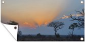 Tuinposter Het landschap van het Krugerpark in Zuid-Afrika bij zonsondergang - 80x40 cm - Wanddecoratie Buiten - Tuinposter - Tuindoek - Schuttingposter - Tuinschilderij