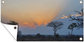 Le paysage du parc Kruger en Afrique au coucher du soleil Poster de jardin 80x40 cm - petit - Toile de jardin / Toile d'extérieur / Peintures pour l'extérieur (décoration de jardin)