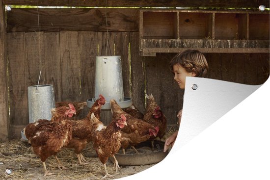 Affiche de jardin Enfants avec animaux Garçon qui rit accroupi