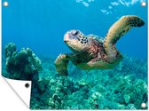 Tuin decoratie Een groene zeeschildpad zwemt boven een mooi koraalrif in Hawaï - 40x30 cm - Tuindoek - Buitenposter
