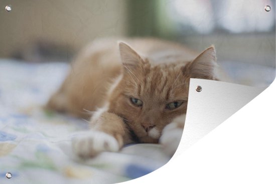 Affiche de jardin - Toile de Posters de jardin de jardin extérieur - Chat - Lit - Couvre-lit - Filles - Enfants - Garçons - Enfant - 120x80 cm - Jardin