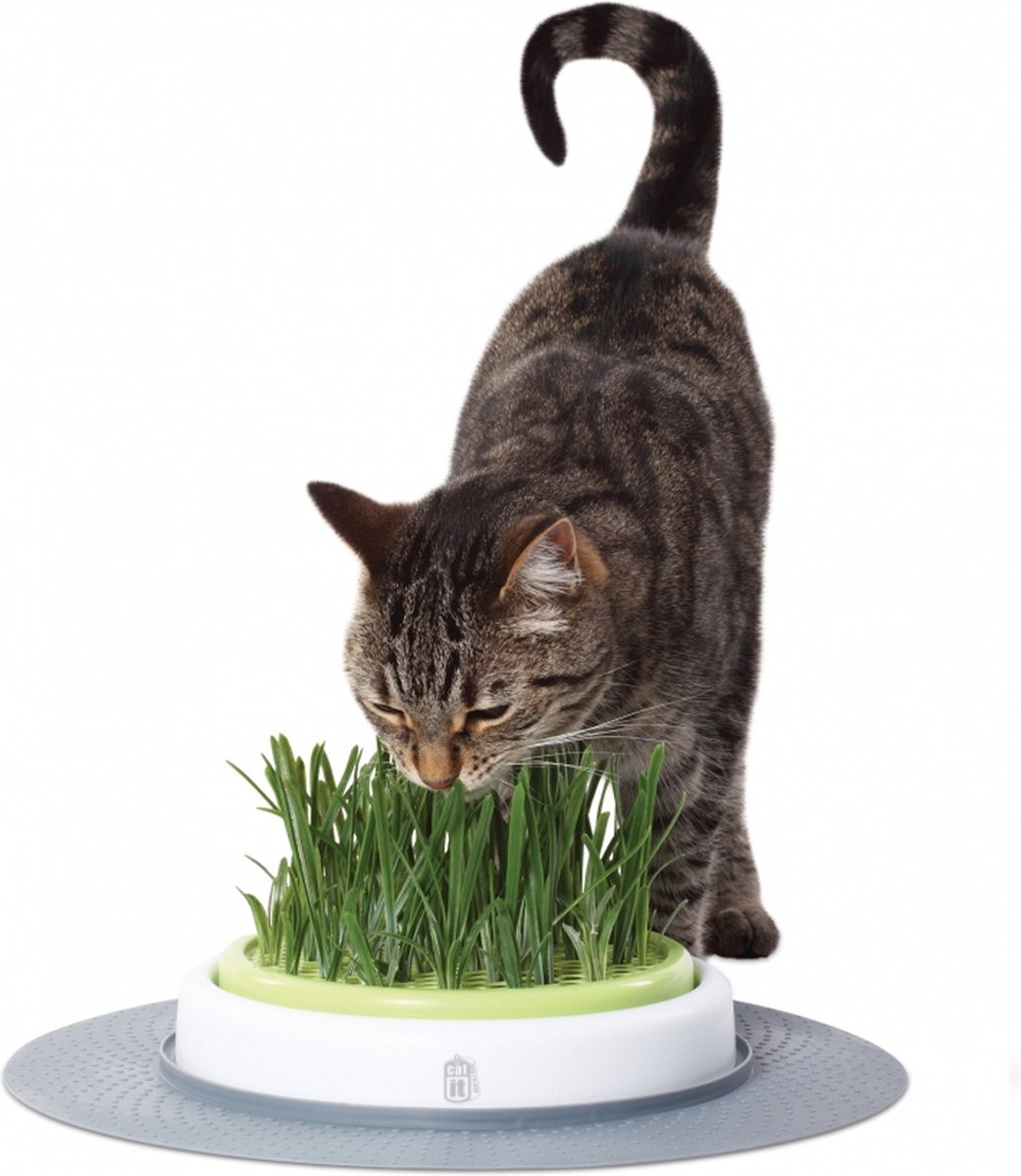 Catit Design Senses Grass Garden Kit – Kattengras – 1