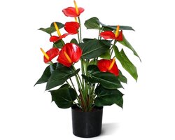 Anthurium deluxe kunstplant 50cm - rood