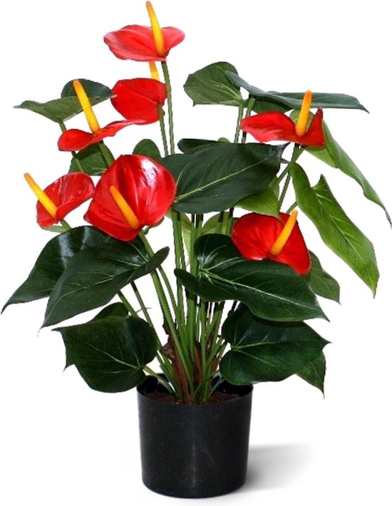 Maxifleur Kunstplanten Kunstplant Anthurium Deluxe 50 cm Rood