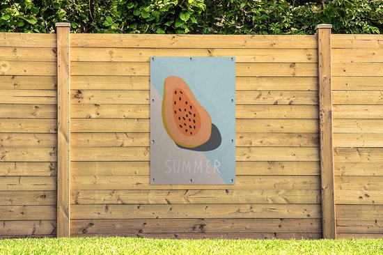Illustration d'une papaye sur fond pastel affiche de jardin toile en vrac 80x120 cm - Toile de jardin / Toile d'extérieur / Peintures d'extérieur (décoration de jardin)