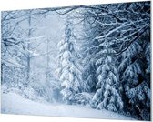 HalloFrame - Schilderij - Winterlandschap Bos Akoestisch - Zilver - 180 X 120 Cm