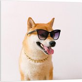 Acrylglas - Stoere Hond met Zonnebril en Gouden Ketting - 100x100cm Foto op Acrylglas (Met Ophangsysteem)