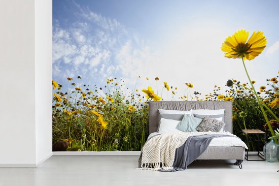Champ jaune de fotobehang de fleurs