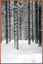JUNIQE - Poster met kunststof lijst Deep Dark White Forest -20x30