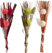Droog bloemenboeket - 4 geassorteerde kleuren