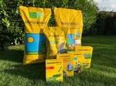 Barenbrug Play and Sports Pelouse 1kg