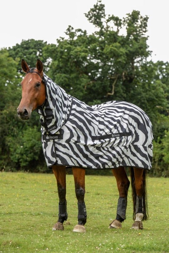 Ik wil niet ondernemer Giotto Dibondon Bucas Sweet-itch Zebra deken - maat 125/168 - zebra | bol.com