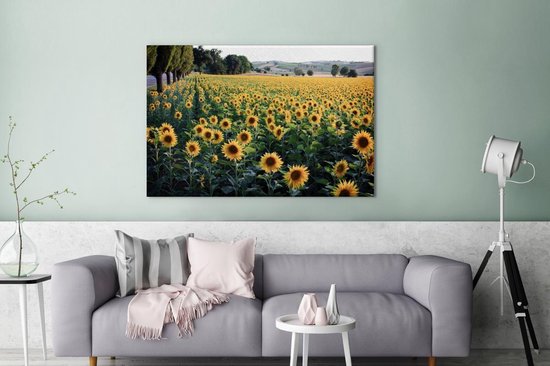 Peintures sur toile - Tournesol - Colline - Printemps - 120x80 cm - Décoration murale