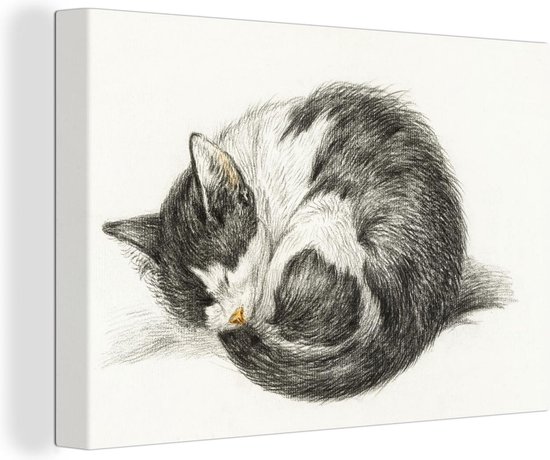 Canvas Schilderij Opgerolde slapende kat - schilderij van Jean Bernard - 120x80 cm - Wanddecoratie