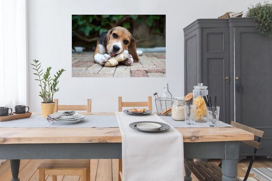 Poster Beagle mâche un os 120x80 cm - Tirage photo sur Poster (décoration murale salon / chambre) / Poster Animaux domestiques