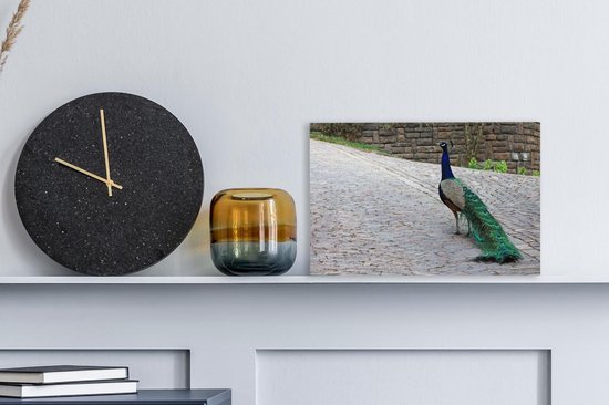 Paon marche dans une rue Toile 30x20 cm - petit - Tirage photo sur toile (Décoration murale salon / chambre)