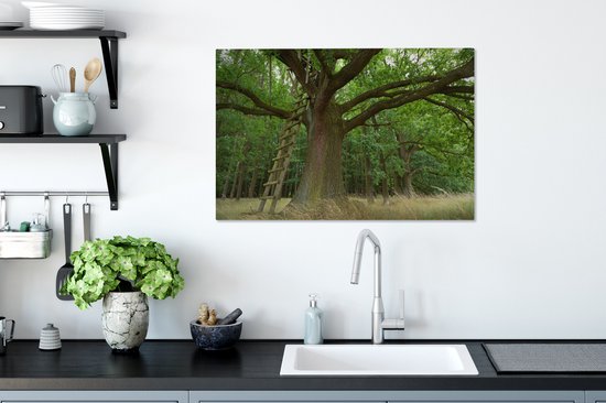 Echelle en bois contre un vieux chêne Toile 90x60 cm - Tirage photo sur toile (Décoration murale salon / chambre) / Arbres Peintures sur toile