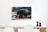 Canvas Schilderij Schattige Rottweiler pup ligt op de vloer - 60x40 cm - Wanddecoratie