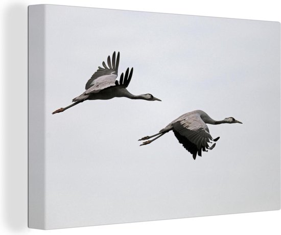 Canvas Schilderij Europese kraanvogels vliegen samen door de lucht - 30x20 cm - Wanddecoratie