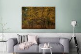 Canvas Schilderij Gouden bladeren in de bossen van het Engelse Nationaal park New Forest - 180x120 cm - Wanddecoratie XXL