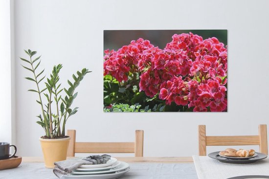 Fleurs de géranium dans un jardin Toile 60x40 cm - Tirage photo sur toile (Décoration murale salon / chambre)
