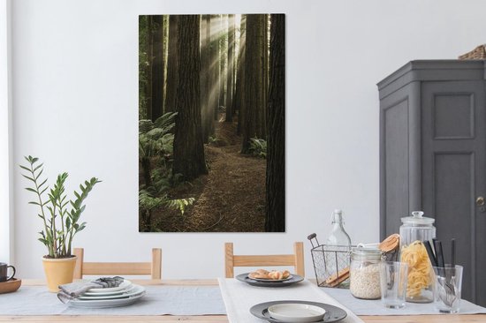 Canvas Schilderij Zonnestralen tussen de Redwood bomen - 80x120 cm - Wanddecoratie