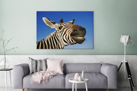Une drôle de toile de zèbre grimaçant 140x90 cm - Tirage photo sur toile (Décoration murale salon / chambre)
