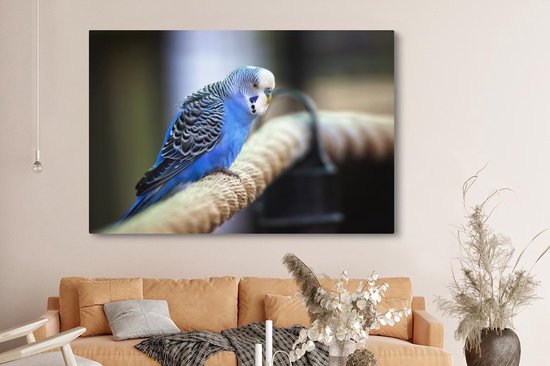 Canvas schilderij 150x100 cm - Wanddecoratie Knalblauwe parkiet op een dik touw - Muurdecoratie woonkamer - Slaapkamer decoratie - Kamer accessoires - Schilderijen