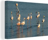 Canvas Schilderij Flamingo's in het Nationaal park Doñana in Spanje - 30x20 cm - Wanddecoratie