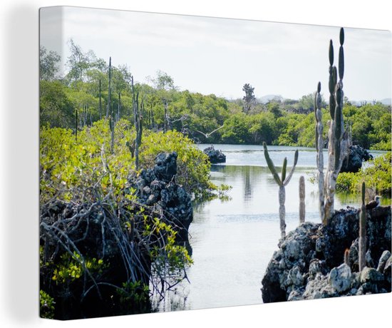 Water met rotsen en cactussen Galapagoseilanden Canvas 180x120 cm - Foto print op Canvas schilderij (Wanddecoratie woonkamer / slaapkamer) / Zee en Strand XXL / Groot formaat! Water met rotsen en cactussen Galapagoseilanden Canvas 180x120 cm - Foto print op Canvas schilderij (Wanddecoratie woonkamer / slaapkamer) / Zee en Strand XXL / Groot formaat!