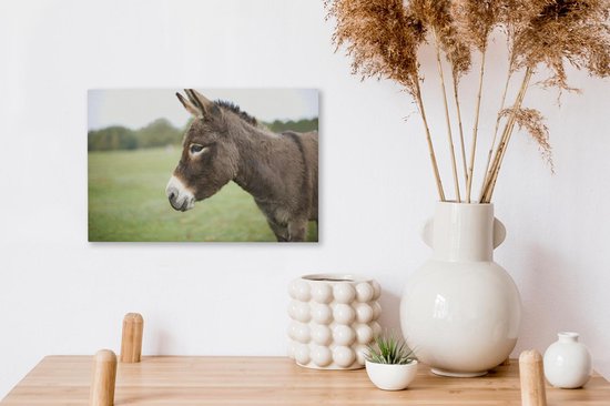 Gros plan âne nain 30x20 cm - petit - Tirage photo sur toile (Décoration murale salon / chambre) / animaux sauvages Peintures sur toile