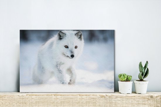 Arctic Fox traverse la neige 30x20 cm - petit - Tirage photo sur toile (Décoration murale salon / chambre) / animaux sauvages Peintures sur toile