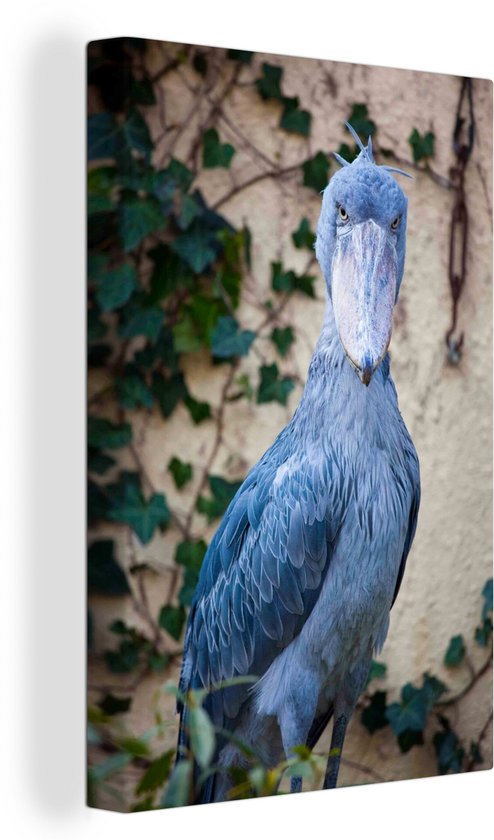 Een canvas van een blauwe schoenbekooievaar met een muur met klimop op de achtergrond.