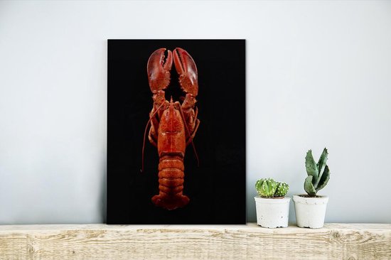 Homard cuit à la vapeur sur une toile de fond noir 2cm 30x40 cm - petit - Tirage photo sur toile (Décoration murale salon / chambre) / Animaux sauvages Peintures sur toile