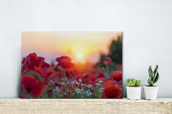 Coquelicots avant le soleil couchant toile 2cm 30x20 cm - petit - Tirage photo sur toile (Décoration murale salon / chambre)