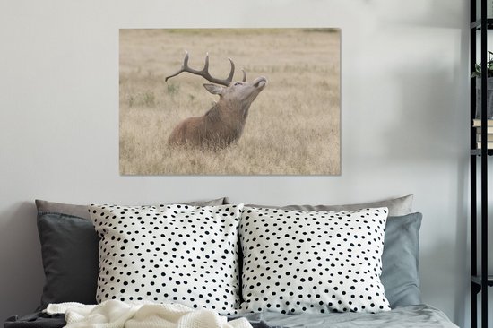 Cerf avec la tête en l'air toile 2cm 60x40 cm - Tirage photo sur toile peinture (Décoration murale salon / chambre) / animaux sauvages Peintures sur toile