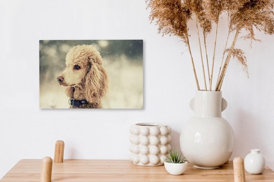 Caniche Witte dans la neige 30x20 cm - petit - Tirage photo sur toile (Décoration murale salon / chambre) / Peintures sur toile pour Animaux domestiques