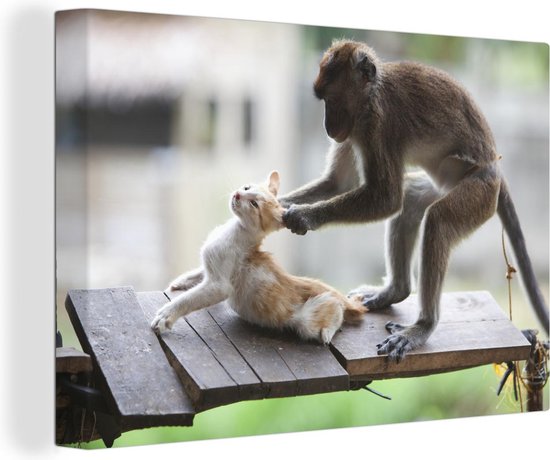 Peintures sur toile - Singe tirant des oreilles de chat - 150x100 cm - Décoration murale