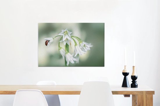 Tableau sur toile Coccinelle en gros plan sur fleur blanche - 90x60 cm - Décoration murale