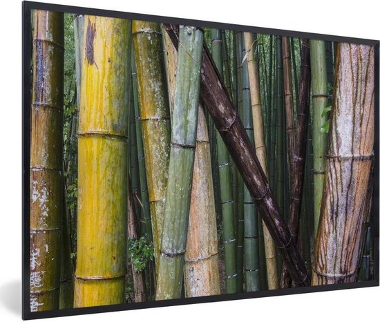 Fotolijst incl. Poster - Vele soorten bamboe in het Bamboebos van Arashiyama in Japan - 90x60 cm - Posterlijst