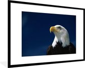 Fotolijst incl. Poster - Een wegkijkende Amerikaanse zeearend in een blauwe lucht - 90x60 cm - Posterlijst