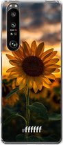 6F hoesje - geschikt voor Sony Xperia 1 III -  Transparant TPU Case - Sunset Sunflower #ffffff