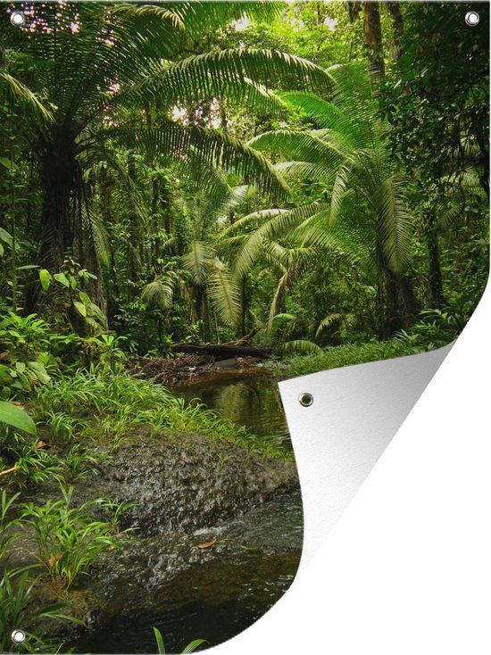 Tuin decoratie Tropisch regenwoud in Colombia - 30x40 cm - Tuindoek - Buitenposter