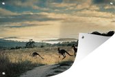 Tuinposter - Tuindoek - Tuinposters buiten - Kangoeroes op de weg fotoprint - 120x80 cm - Tuin