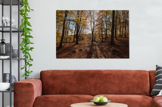 Couleurs d'automne dans les bois du parc national suédois Söderåsen Toile 120x80 cm - Tirage photo sur toile (Décoration murale salon / chambre)