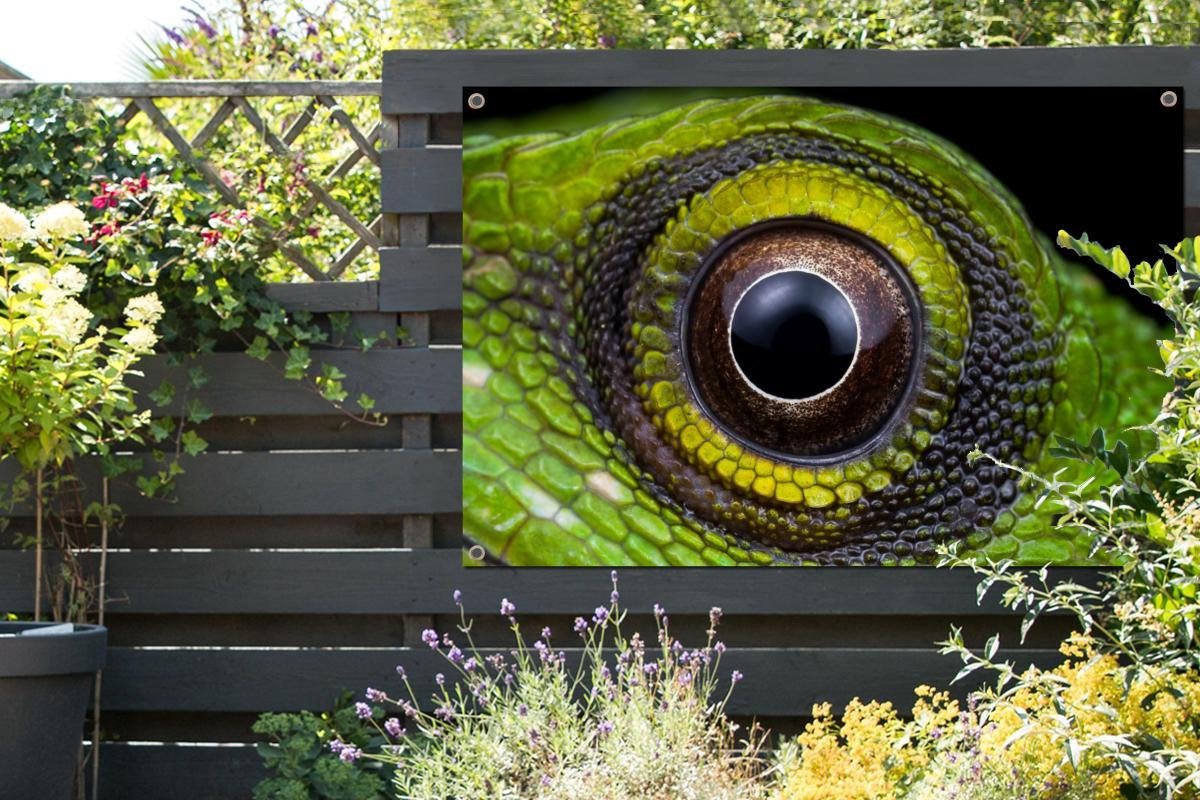 Tuinposter Het oog van een hagedis 120x80 cm Tuin