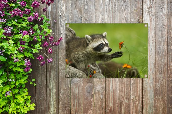 Posters de jardin extérieur Raton laveur - Fleurs - Oranje - 90x60 cm - Toile de jardin - Affiche extérieure