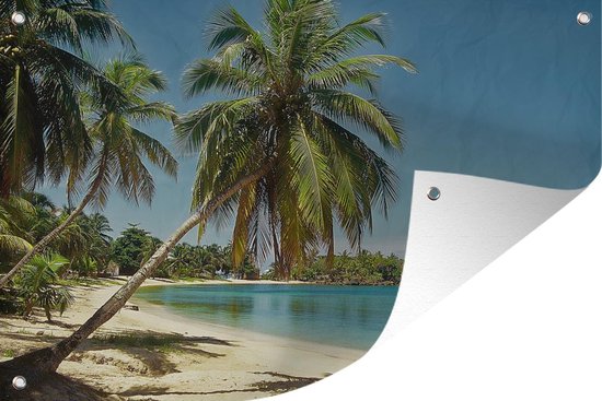 Muurdecoratie De palmbomen met blauwe zee en lucht bij de Baai-eilanden in Noord-Amerika - 180x120 cm - Tuinposter - Tuindoek - Buitenposter
