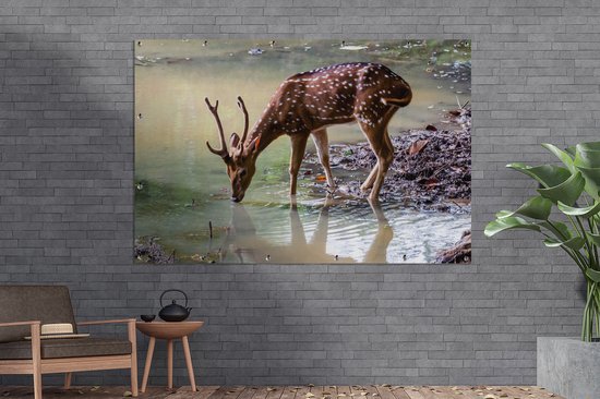 Muurdecoratie Hert - Gewei - Water - 180x120 cm - Tuinposter - Tuindoek - Buitenposter