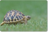 Muismat Schildpad - Schildpad op gras muismat rubber - 27x18 cm - Muismat met foto